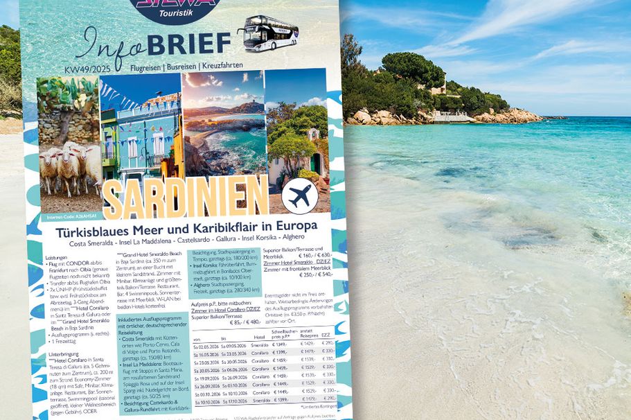 STEWA-Infobrief KW46/2025