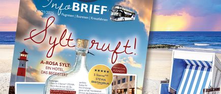 STEWA Infobrief KW21/2025
