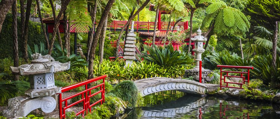 Flugreise Madeira - Garden