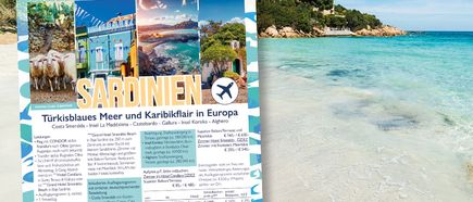 STEWA Infobrief KW49/2025