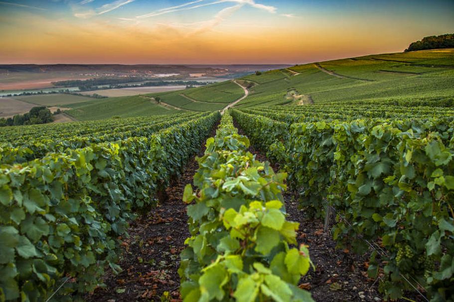 Flugreise Frankreich - Champagner Province