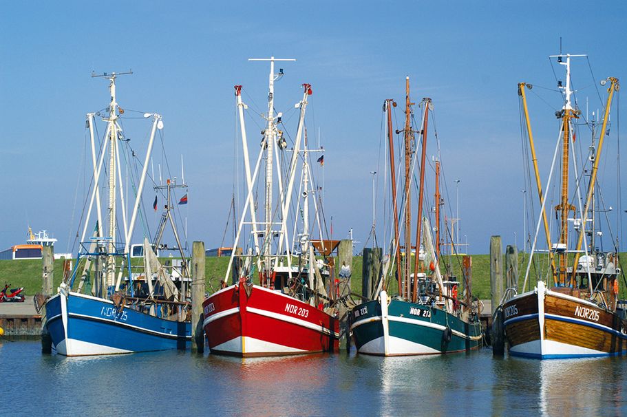 Busreise Lübeck in Schleswig-Holstein mit dem Fluss Trave