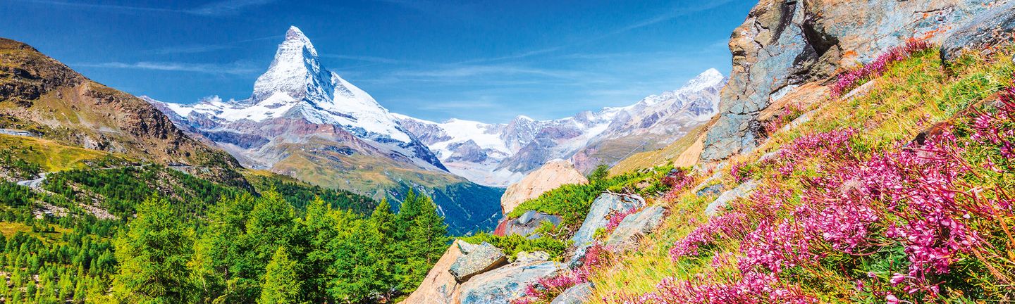 Schweizer Bergwelt mit Matterhorn