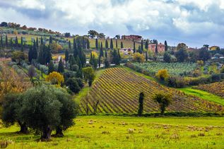Busreise Italien - Toskana