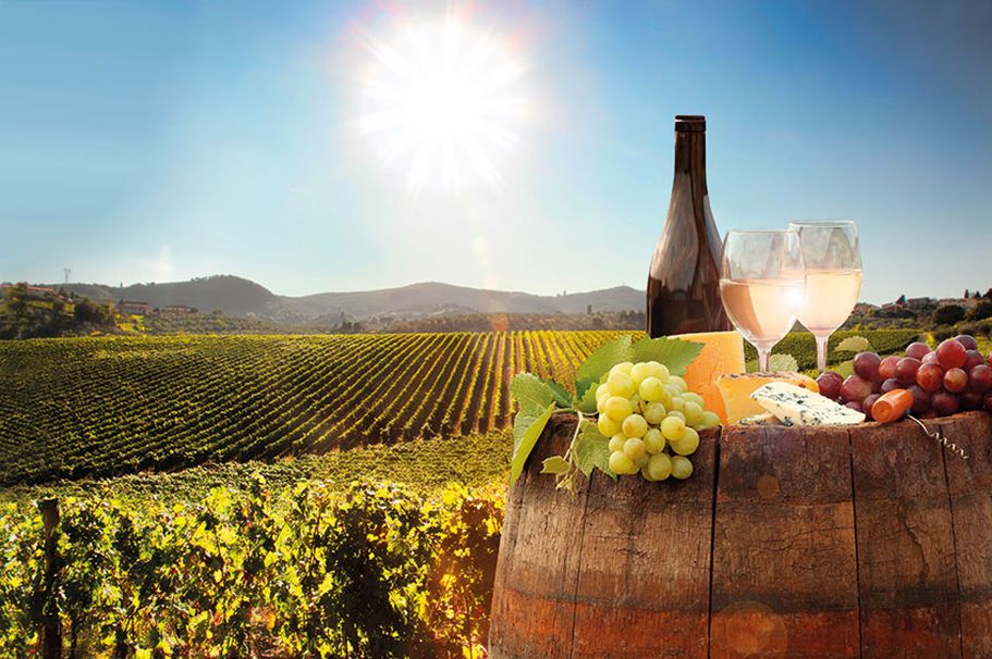 Landschaft Toskana mit Wein und Trauben