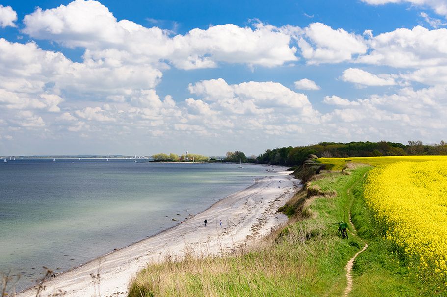 Urlaub in Schleswig-Holstein mit Rapsfeldern und Stränden