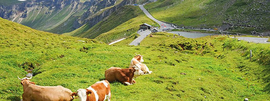 Alpen