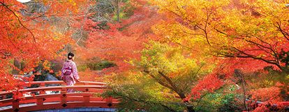 Flugreisen Japan