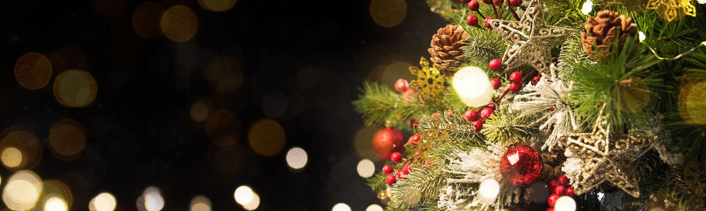 Busreise Weihnachtsreise