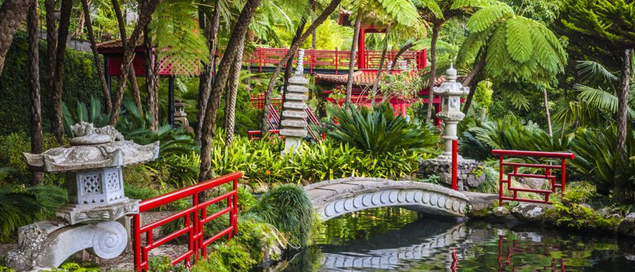 Flugreise Madeira - Garden