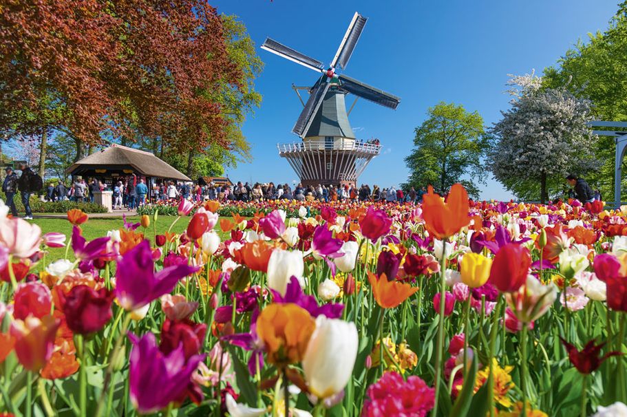 Busreise Keukenhof, Lisse Holland