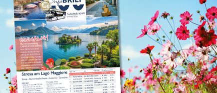 STEWA Infobrief KW05/2026