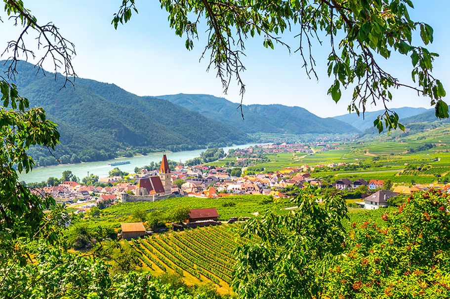 Flusskreuzfahrt Wachau, Landschaft der Weinberge und Donau bei Weißenkirchen