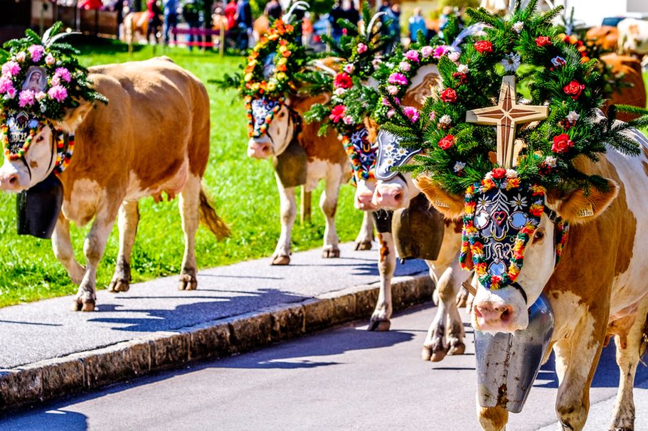 Stadt und Volksfeste