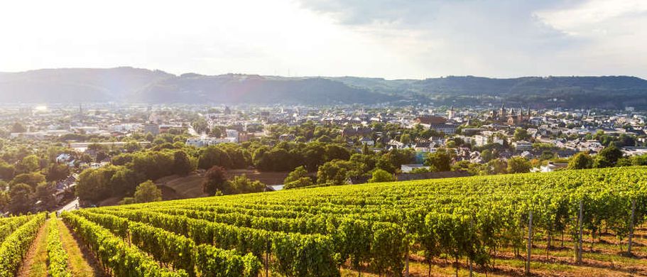 Städtereise Trier - Weine