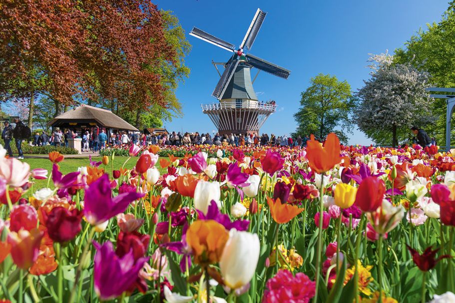 Busreise Keukenhof, Lisse Holland