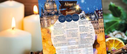 STEWA Infobrief KW39/2025