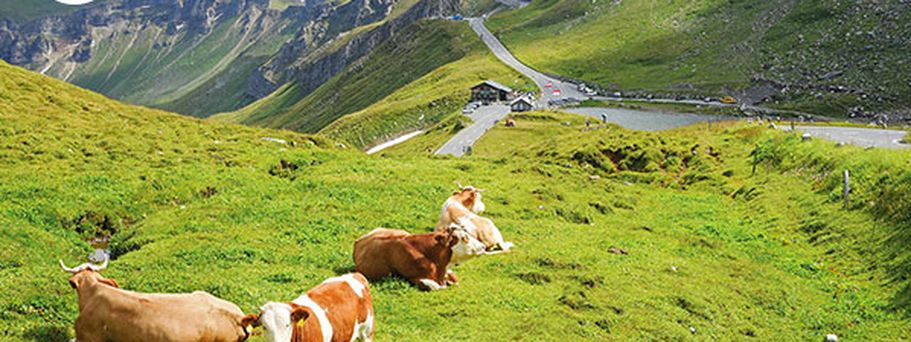 Alpen