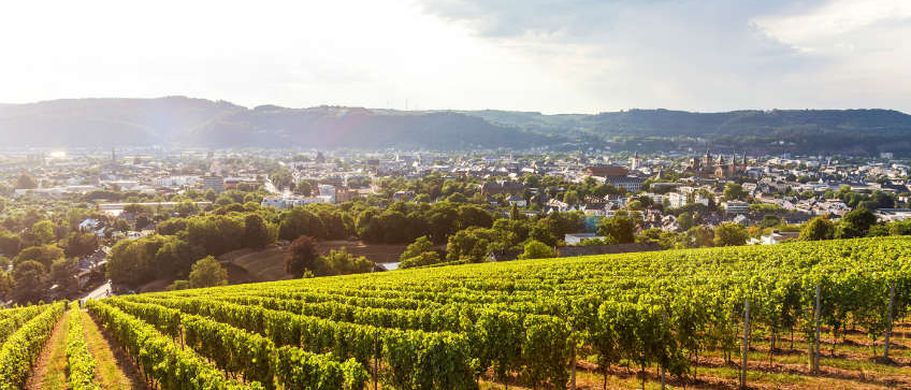 Städtereise Trier - Weine