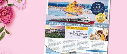 STEWA Infobrief KW46/2025