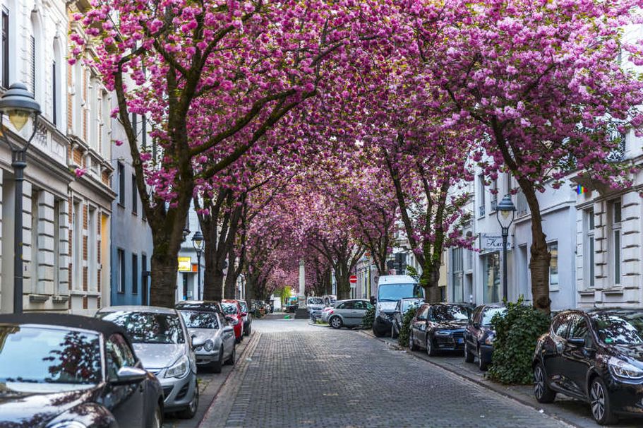 Städtereise Bonn - Heerstraße Bonn
