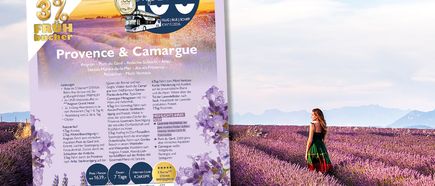 STEWA Infobrief KW11/2026