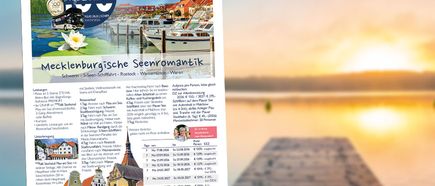 STEWA Info-Brief KW29/2026