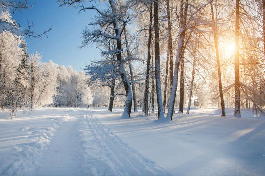 Rundreise Russland - Winterlandschaft