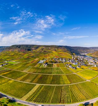 Genussreisen - Mosel